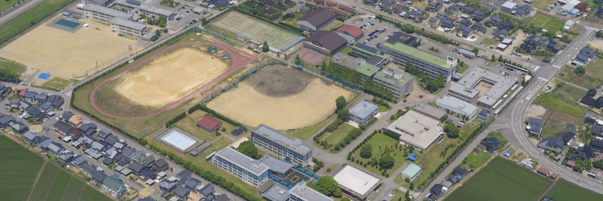 加納 あすかさんのインタビュー画像